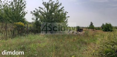 Duża działka usługowo-budowlana w Opacz Wielka