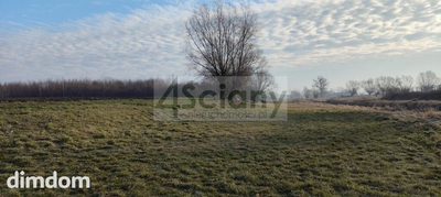 Klimatyczna działka w pięknej okolicy - 5