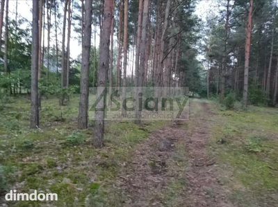 Działka rekreacyjna - 5