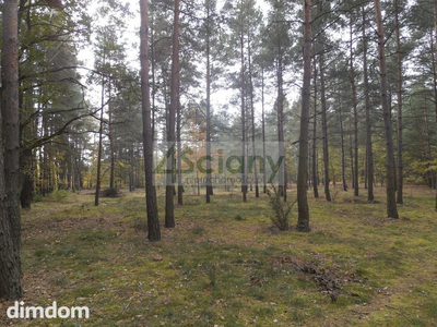 Piękna działka leśno - budowlana w józefowie - 4