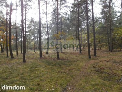 Piękna działka leśno - budowlana w józefowie - 5