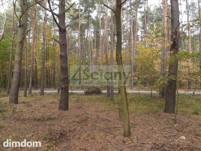 Piękna działka leśno - budowlana w józefowie - 3