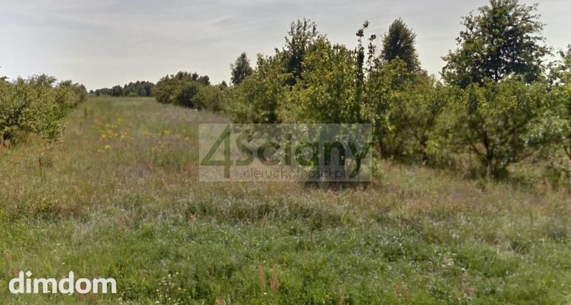 Działka w spokojnym miejscu powiatu żyrardowskiego - 84115558.jpg