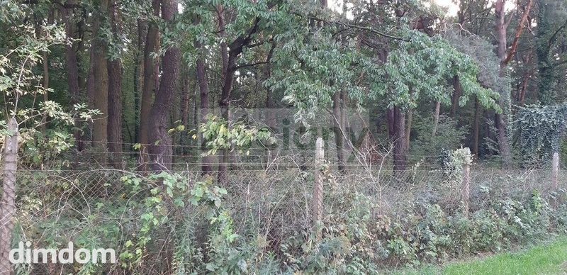 Zalesiona działka przy dwóch drogach w Magdalence - 88921310.jpg