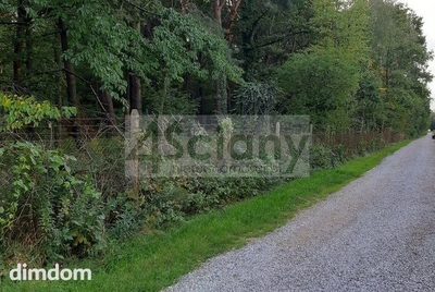 Zalesiona działka przy dwóch drogach w Magdalence - 2
