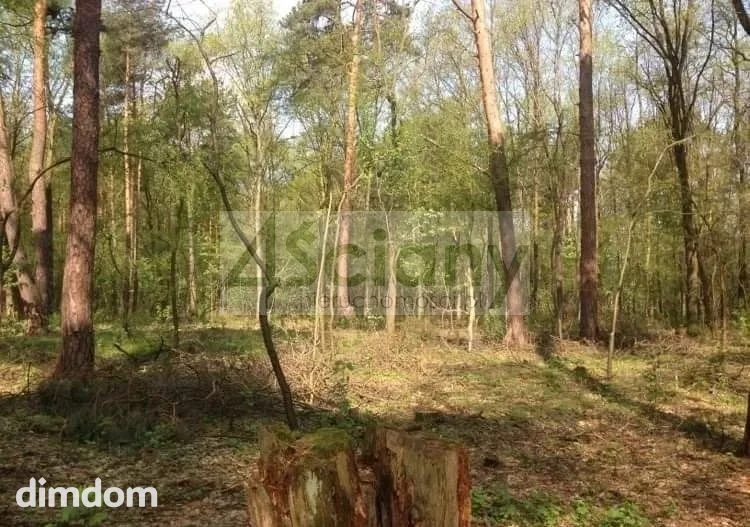 Do sprzedania działka budowlana o powierzchni 2 x 2315 m2 w Sękocinie Las przy Magdalence. - 84265004.jpg