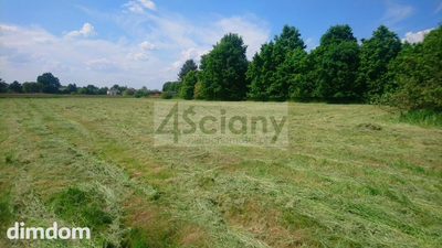 Cicha i spokojna okolica - 2
