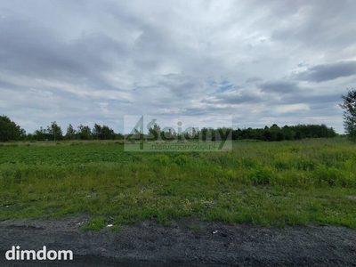 Do sprzedania działka usługowo-produkcyjna o powierzchni 7 629 m2 położona w rejonie Jeziorki Północne w bardzo bliskiej odległości od Południowej Obwodnicy Warszawy S2, przy węźle Lotnisko. Teren o… - 4
