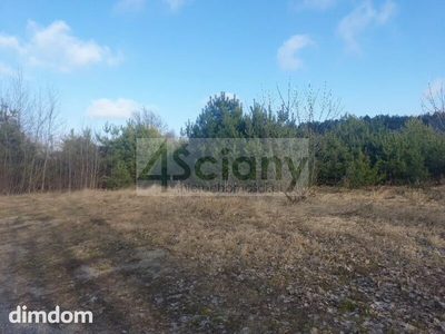 Do sprzedania działka budowlana o powierzchni 1697 m2 w Ojrzanowie koło Żabiej Woli.