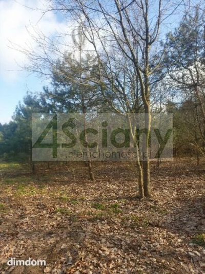 Do sprzedania działka budowlana o powierzchni 1697 m2 w Ojrzanowie koło Żabiej Woli. - 2