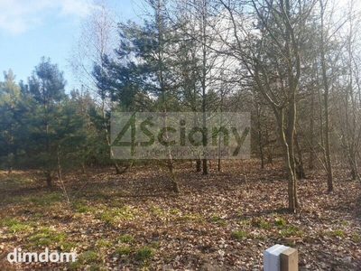 Do sprzedania działka budowlana o powierzchni 1697 m2 w Ojrzanowie koło Żabiej Woli. - 5