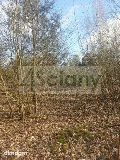 Do sprzedania działka budowlana o powierzchni 1697 m2 w Ojrzanowie koło Żabiej Woli. - 4
