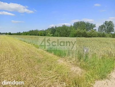 Działka budowlana w Jachrance 923 m2