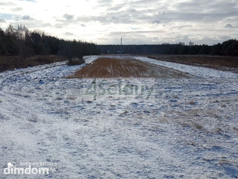 Atrakcyjna działka w otulinie Puszczy Kampinoskiej - 85305997.jpg