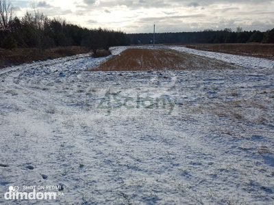 Atrakcyjna działka w otulinie Puszczy Kampinoskiej - 5