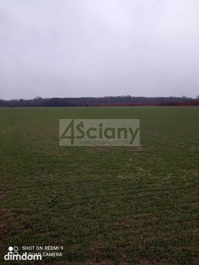 Działka rekreacyjna nad Wisłą