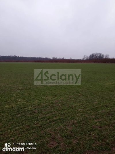 Działka rekreacyjna nad Wisłą - 5