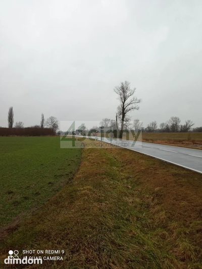 Działka rekreacyjna nad Wisłą - 2