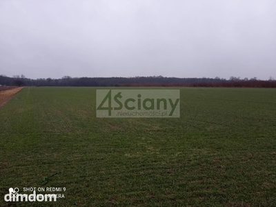Działka rekreacyjna nad Wisłą - 3