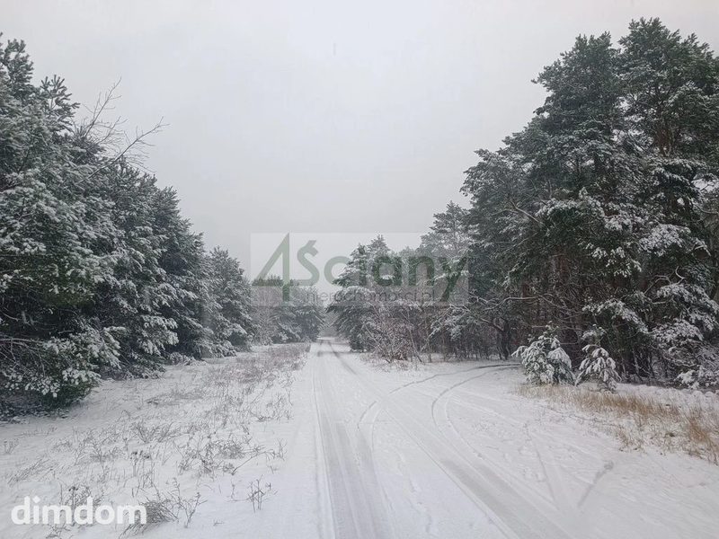 cicha, piękna działka w Falenicy - 103257492.jpg