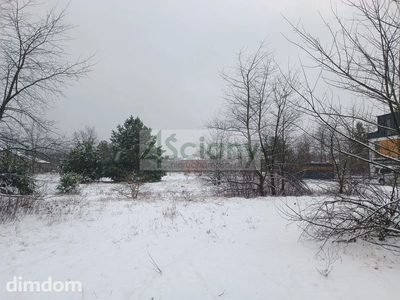 cicha, piękna działka w Falenicy - 3