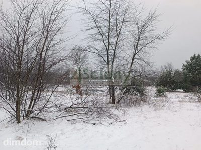 cicha, piękna działka w Falenicy - 5
