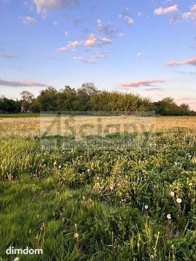 Do sprzedania działka budowlana o powierzchni 2000 m2 w Święcicach koło Ożarowa Maz. - 2