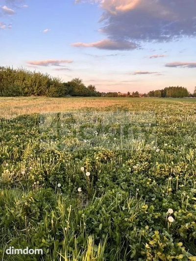 Do sprzedania działka budowlana o powierzchni 2000 m2 w Święcicach koło Ożarowa Maz. - 3