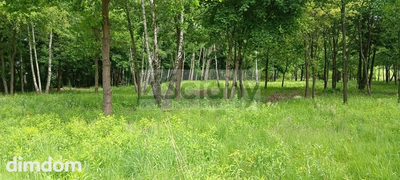Do sprzedania działka budowlana o powierzchni 10626 m2 w Grodzisku Maz. - 2