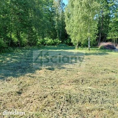 Urocza działka budowlana w Hucie Żabiowolskiej - 2