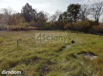 DUŻA, PEŁNA ZIELONOŚCI DZIAŁKA NIEOPODAL LASU - 5
