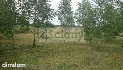 Niedrogo i blisko lasu 1700 m2 - 3