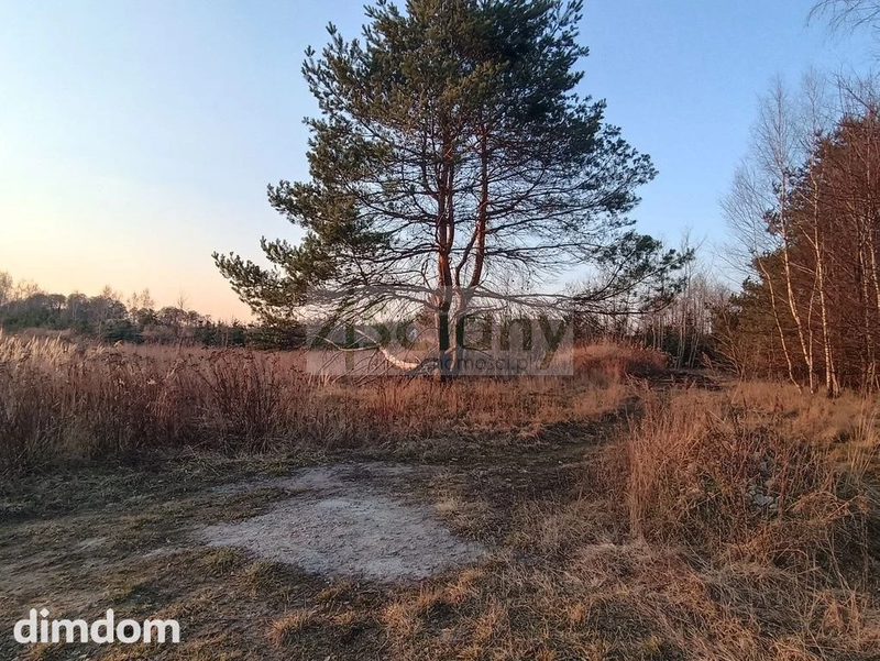 W gminie Żabia Wola, blisko lasu - 111323714.jpg