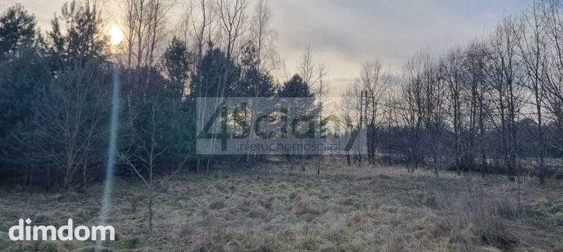 Działka w Żelechowie przy lesie - 90942276.jpg