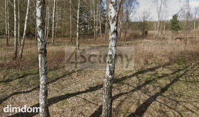 Do sprzedania działka o powierzchni 2192 m2 w Strzeniówce, gmina Nadarzyn. Działka w kształcie prostokąta o wymiarach orientacyjnych 30 (szerokość od drogi) na 71 m. Dojazd do działki drogą asfaltową…