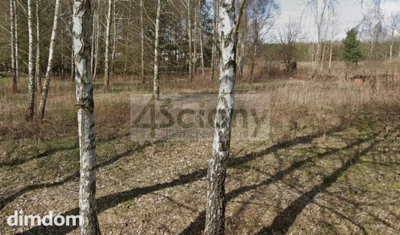 Do sprzedania działka o powierzchni 2192 m2 w Strzeniówce, gmina Nadarzyn. Działka w kształcie prostokąta o wymiarach orientacyjnych 30 (szerokość od drogi) na 71 m. Dojazd do działki drogą asfaltową… - 109263477.jpg