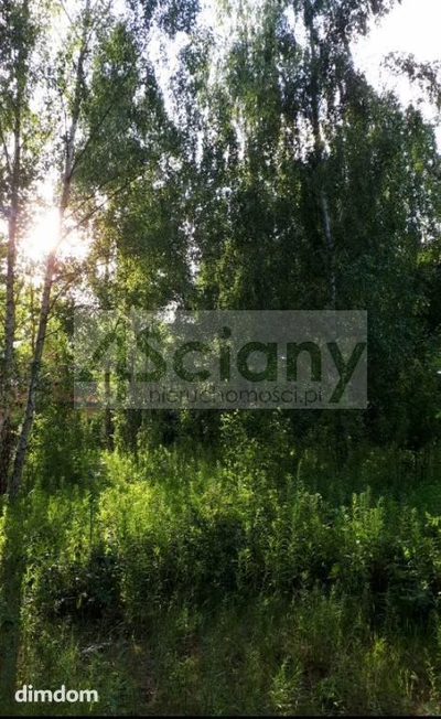 Do sprzedania działka o powierzchni 2192 m2 w Strzeniówce, gmina Nadarzyn. Działka w kształcie prostokąta o wymiarach orientacyjnych 30 (szerokość od drogi) na 71 m. Dojazd do działki drogą asfaltową… - 2
