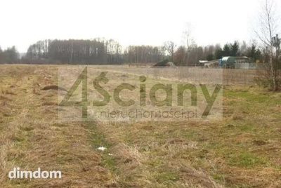 Do sprzedania działka rolna z możliwością zabudowy siedliskowej o powierzchni 14200 m2 w Skułach koło Żabiej Woli.