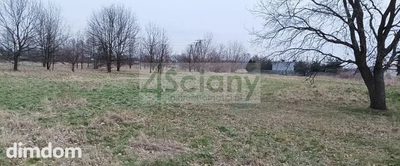 Do sprzedania działka budowlana o powierzchni 5300 m2 w Grodzisku Maz. (Łąki).