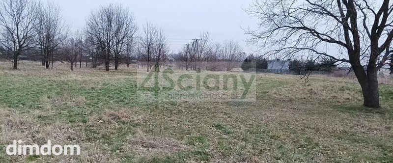 Do sprzedania działka budowlana o powierzchni 5300 m2 w Grodzisku Maz. (Łąki). - 91709607.jpg