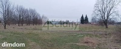 Do sprzedania działka budowlana o powierzchni 5300 m2 w Grodzisku Maz. (Łąki). - 3