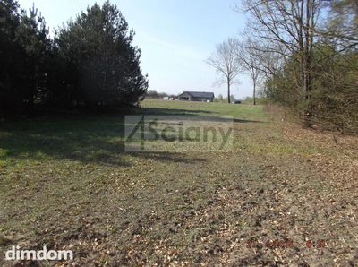 Długość: 200 m, szerokość: 100 m.