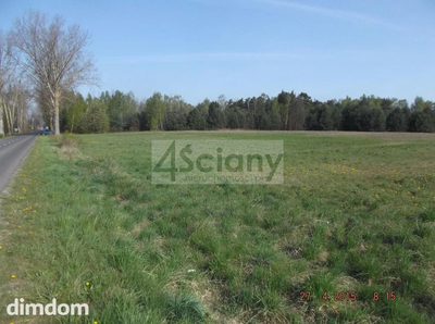 Długość: 200 m, szerokość: 100 m. - 3