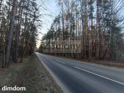 Piekna działka w Ojrzanowie, z drzewami - 4