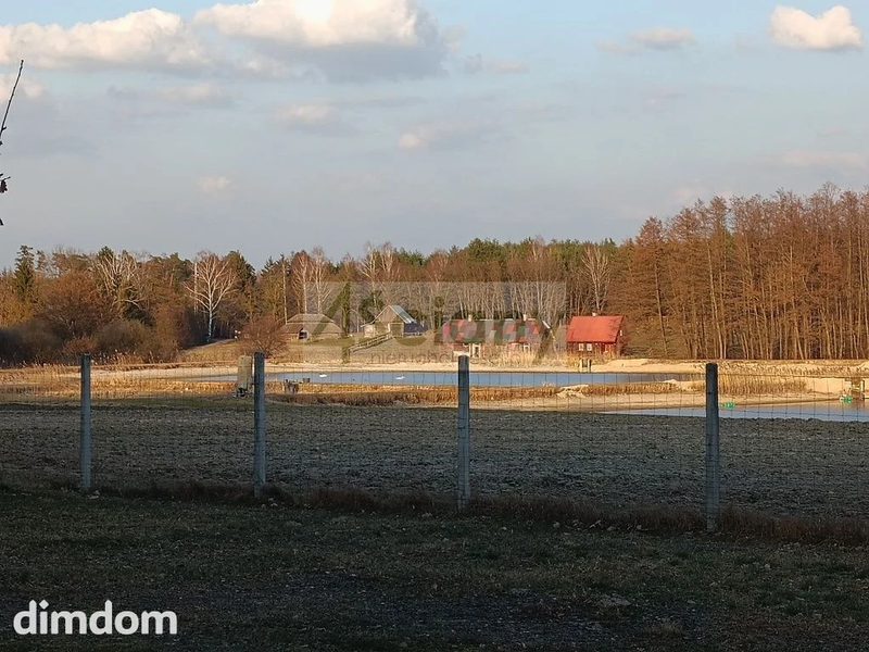 Pod lasem, cisza, piękna działka - 111447954.jpg