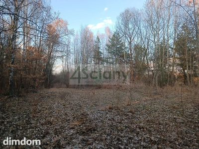 Pod lasem, cisza, piękna działka - 4
