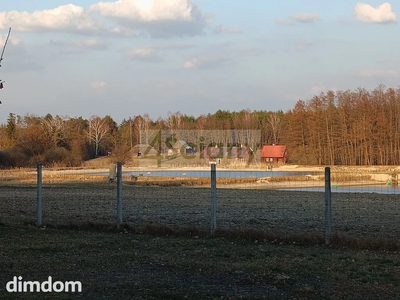 Urokliwa działka Ojrzanów, las - 3