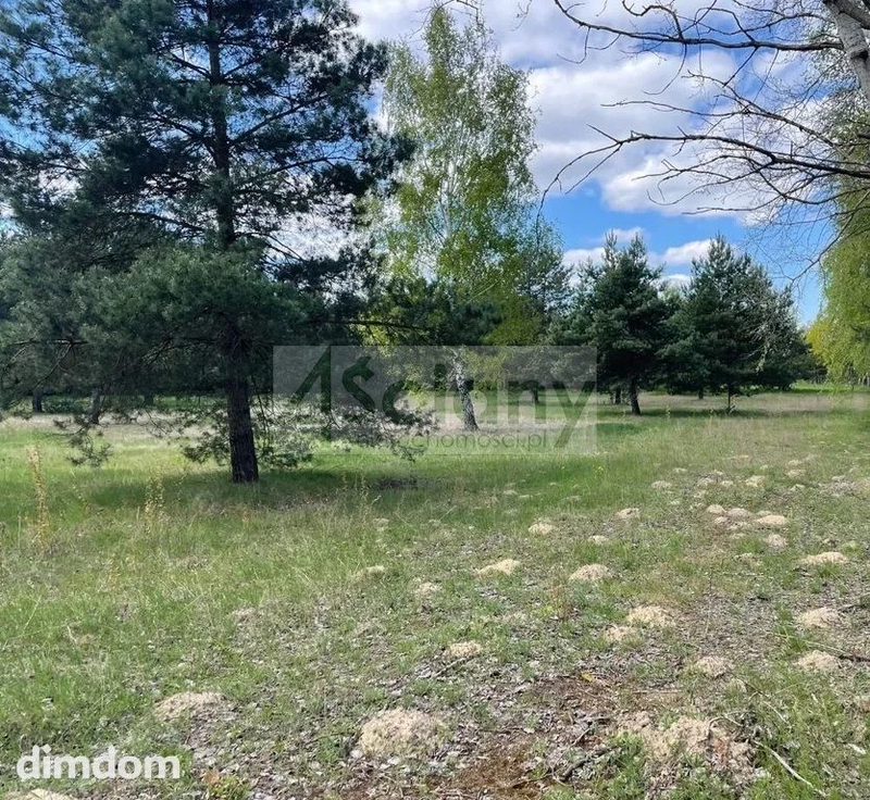 Do sprzedania działka budowlana o powierzchni 1197 m2 w Ojrzanowie koło Żabiej Woli. - 92176040.jpg