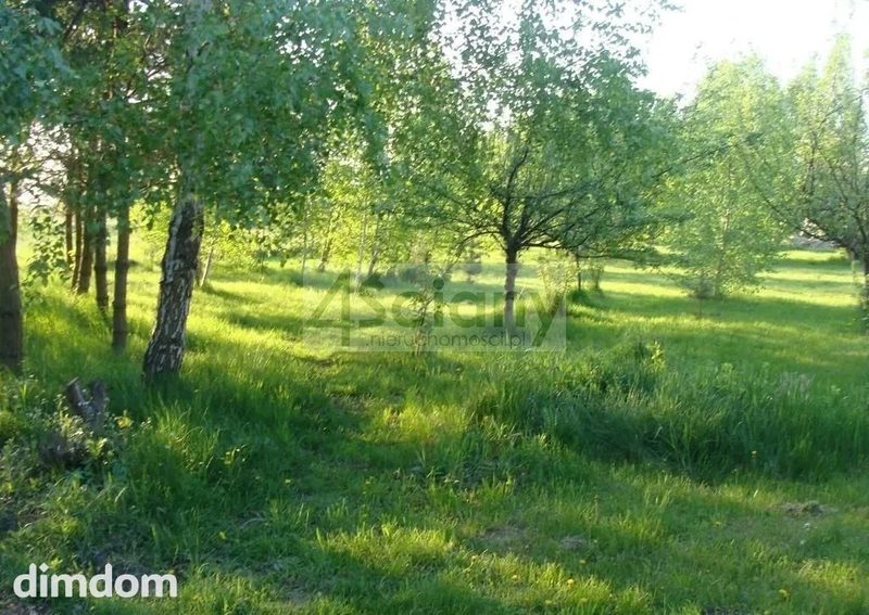 Do sprzedania działka budowlana o powierzchni 3023 m2 w Grodzisku Maz. (Łąki). - 92782070.jpg