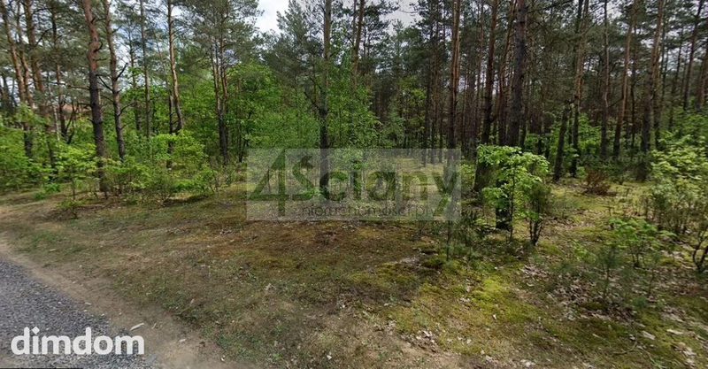 Do sprzedania działka o powierzchni 2 764 m2 położona w Puszczy Kampinoskiej w miejscowości Truskaw, gmina Izabelin. Działka w kształcie prostokąta o długości 70 m (od drogi) i szerokości 40 m. Dojaz… - 106321084.jpg